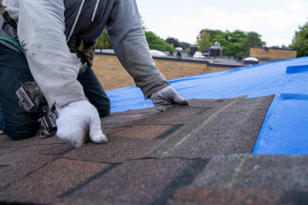 Best Commercial Roofing Services  in Long View, NC