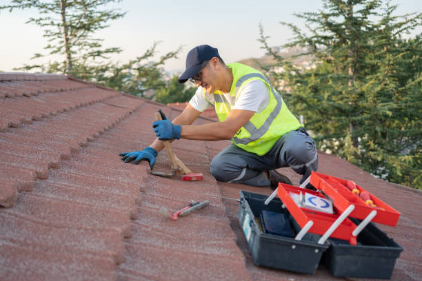 Professional Roofing Contractor in Long View, NC